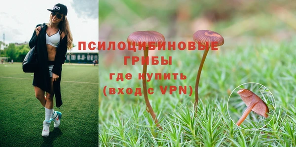 apvp Алексеевка