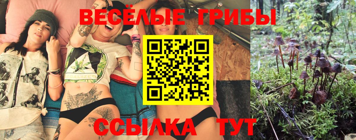Нефтекамск  Галлюциногенные грибы мухоморы  Вход с VPN  купить  цена  Галлюциногенные грибы Cubensis 